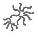 异色绒含量|0.1%